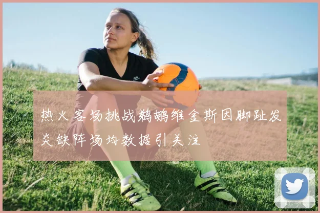 热火客场挑战鹈鹕维金斯因脚趾发炎缺阵场均数据引关注