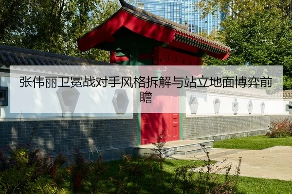 张伟丽卫冕战对手风格拆解与站立地面博弈前瞻