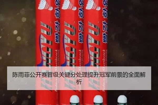 陈雨菲公开赛晋级关键分处理提升冠军前景的全面解析